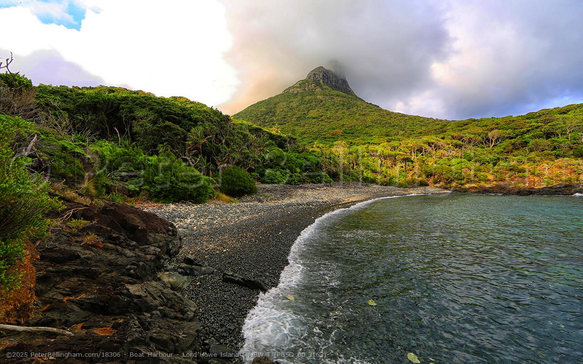 Peter Bellingham Photography Boat Harbour - Lord Howe Island - NSW T (PB5D 00 3163)